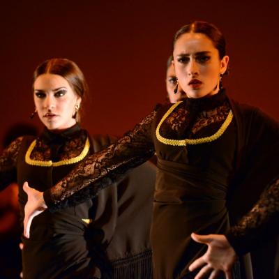 Fotografía de Talleres de Baile flamenco  - Conservatorio de Danza