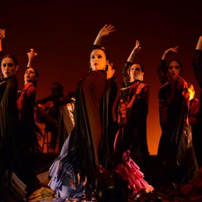 Fotografía de Talleres de Baile flamenco  - Conservatorio de Danza