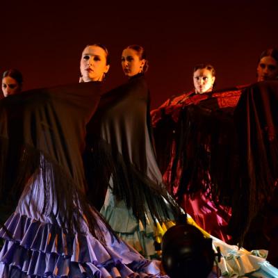 Fotografía de Talleres de Baile flamenco  - Conservatorio de Danza
