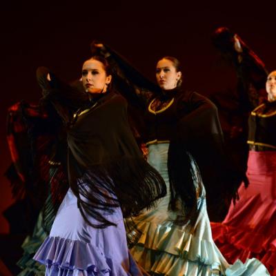 Fotografía de Talleres de Baile flamenco  - Conservatorio de Danza