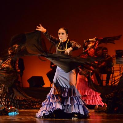 Fotografía de Talleres de Baile flamenco  - Conservatorio de Danza
