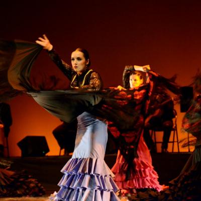 Fotografía de Talleres de Baile flamenco  - Conservatorio de Danza