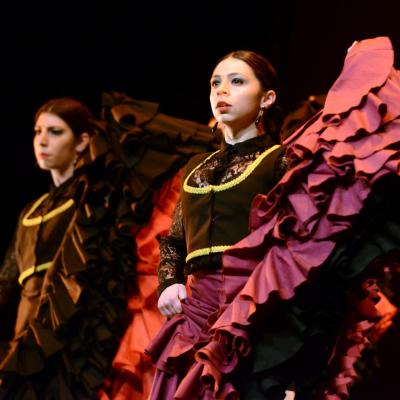 Fotografía de Talleres de Baile flamenco  - Conservatorio de Danza