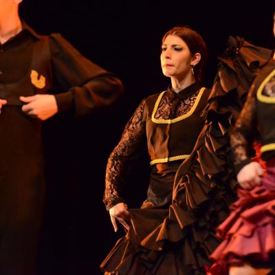 Fotografía de Talleres de Baile flamenco  - Conservatorio de Danza