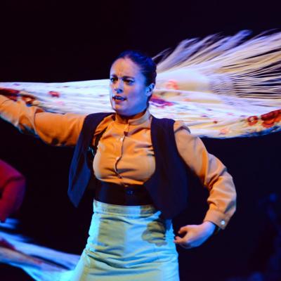 Fotografía de Talleres de Baile flamenco  - Conservatorio de Danza