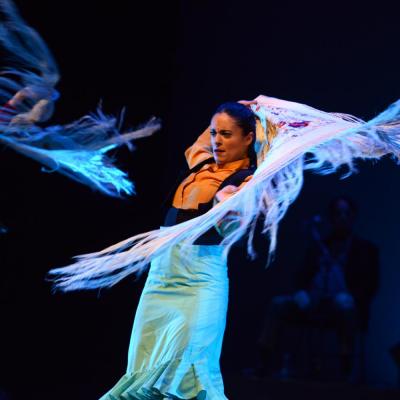 Fotografía de Talleres de Baile flamenco  - Conservatorio de Danza