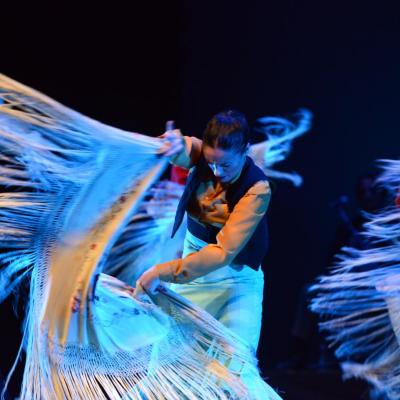 Fotografía de Talleres de Baile flamenco  - Conservatorio de Danza