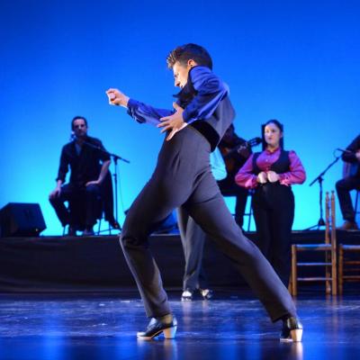 Fotografía de Talleres de Baile flamenco  - Conservatorio de Danza