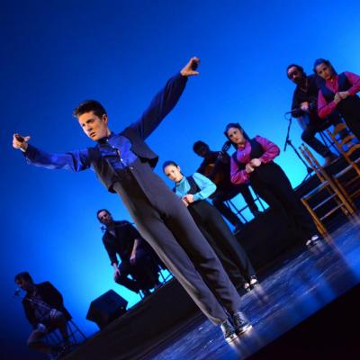 Fotografía de Talleres de Baile flamenco  - Conservatorio de Danza
