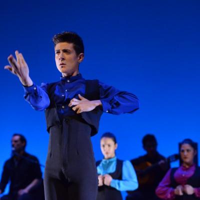 Fotografía de Talleres de Baile flamenco  - Conservatorio de Danza