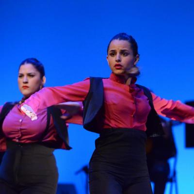 Fotografía de Talleres de Baile flamenco  - Conservatorio de Danza