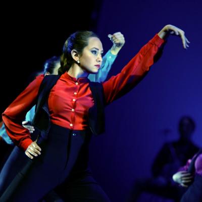 Fotografía de Talleres de Baile flamenco  - Conservatorio de Danza