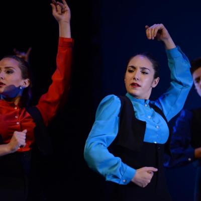 Fotografía de Talleres de Baile flamenco  - Conservatorio de Danza
