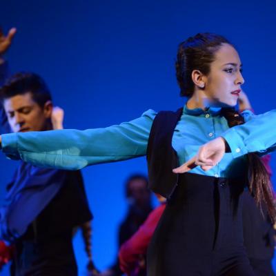 Fotografía de Talleres de Baile flamenco  - Conservatorio de Danza