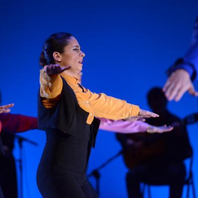 Fotografía de Talleres de Baile flamenco  - Conservatorio de Danza