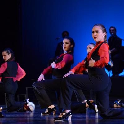 Fotografía de Talleres de Baile flamenco  - Conservatorio de Danza