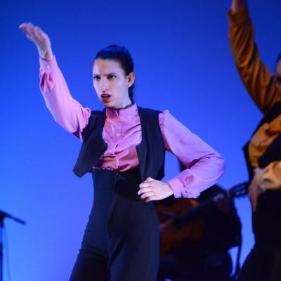 Fotografía de Talleres de Baile flamenco  - Conservatorio de Danza