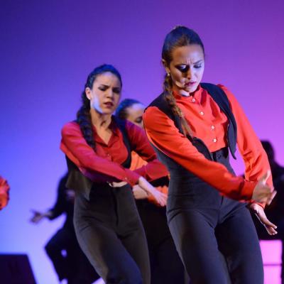 Fotografía de Talleres de Baile flamenco  - Conservatorio de Danza
