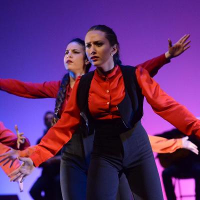 Fotografía de Talleres de Baile flamenco  - Conservatorio de Danza