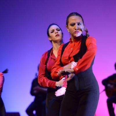 Fotografía de Talleres de Baile flamenco  - Conservatorio de Danza