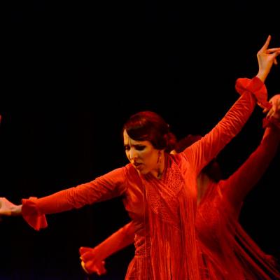 Fotografía de Talleres de Baile flamenco  - Conservatorio de Danza