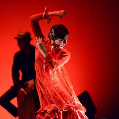 Fotografía de Talleres de Baile flamenco  - Conservatorio de Danza