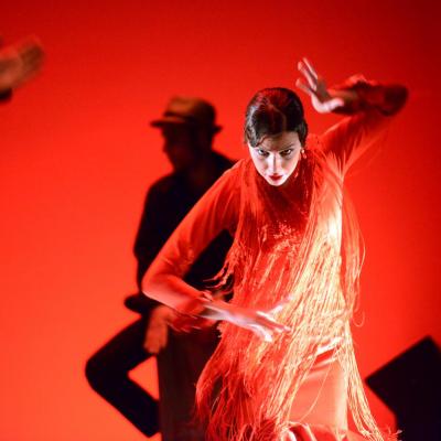 Fotografía de Talleres de Baile flamenco  - Conservatorio de Danza