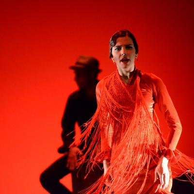 Fotografía de Talleres de Baile flamenco  - Conservatorio de Danza