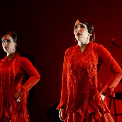 Fotografía de Talleres de Baile flamenco  - Conservatorio de Danza