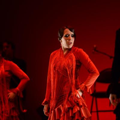 Fotografía de Talleres de Baile flamenco  - Conservatorio de Danza