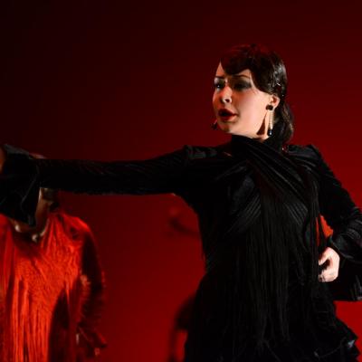 Fotografía de Talleres de Baile flamenco  - Conservatorio de Danza