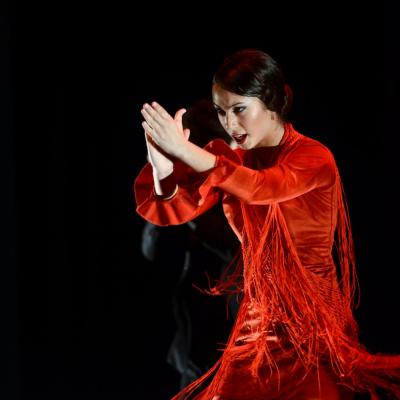 Fotografía de Talleres de Baile flamenco  - Conservatorio de Danza