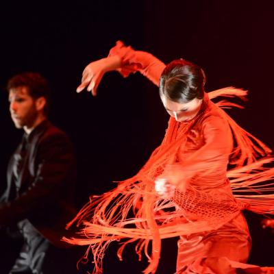 Fotografía de Talleres de Baile flamenco  - Conservatorio de Danza