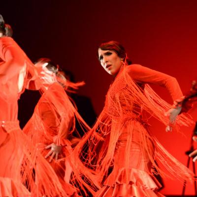 Fotografía de Talleres de Baile flamenco  - Conservatorio de Danza
