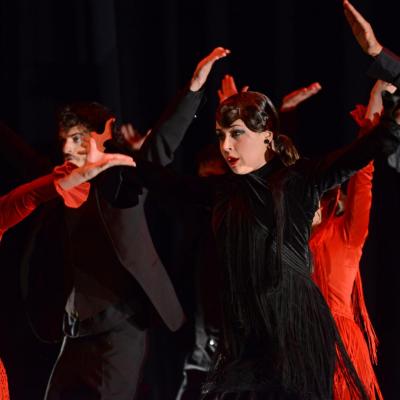 Fotografía de Talleres de Baile flamenco  - Conservatorio de Danza