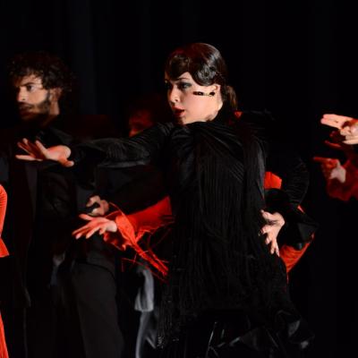 Fotografía de Talleres de Baile flamenco  - Conservatorio de Danza