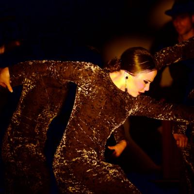 Fotografía de Talleres de Baile flamenco  - Conservatorio de Danza