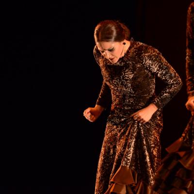 Fotografía de Talleres de Baile flamenco  - Conservatorio de Danza