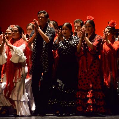 Fotografía de Talleres de Baile flamenco  - Conservatorio de Danza