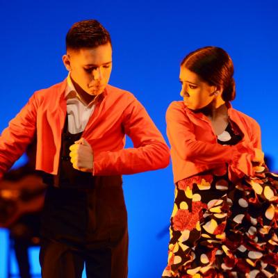Fotografía de Talleres de Baile flamenco (ensayo general) - Conservatorio de Danza