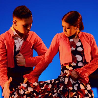 Fotografía de Talleres de Baile flamenco (ensayo general) - Conservatorio de Danza