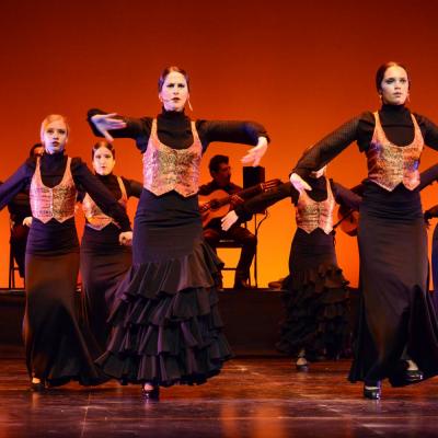 Fotografía de Talleres de Baile flamenco (ensayo general) - Conservatorio de Danza