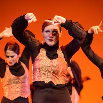 Fotografía de Talleres de Baile flamenco (ensayo general) - Conservatorio de Danza