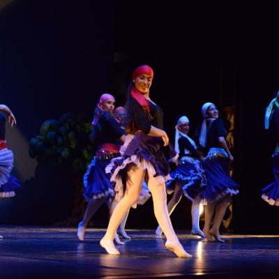 Fotografía de Talleres de danza clásica  - Conservatorio de Danza