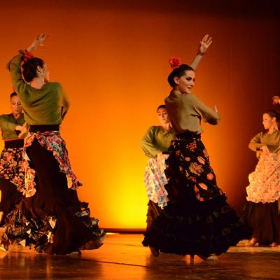 Fotografía de Talleres de danza española - Conservatorio de Danza