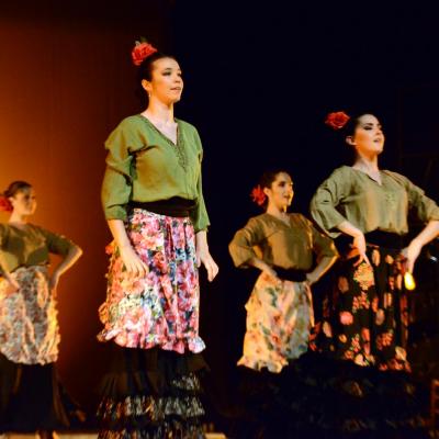Fotografía de Talleres de danza española - Conservatorio de Danza
