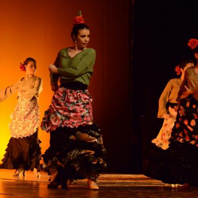 Fotografía de Talleres de danza española - Conservatorio de Danza