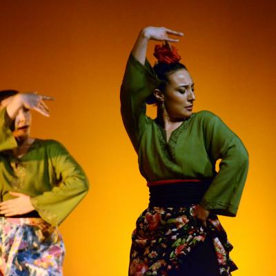 Fotografía de Talleres de danza española - Conservatorio de Danza