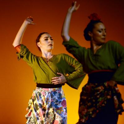 Fotografía de Talleres de danza española - Conservatorio de Danza