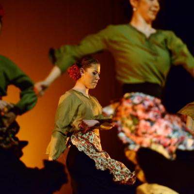 Fotografía de Talleres de danza española - Conservatorio de Danza